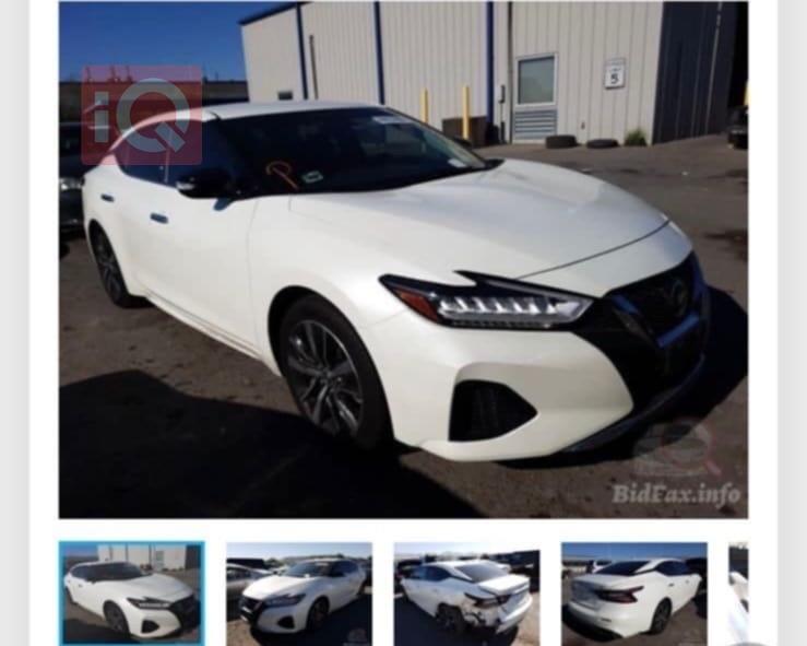 نيسان ماكسيما